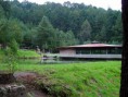 /album/fotogaleria-excurciones/a1365605507-copia-jpg1/